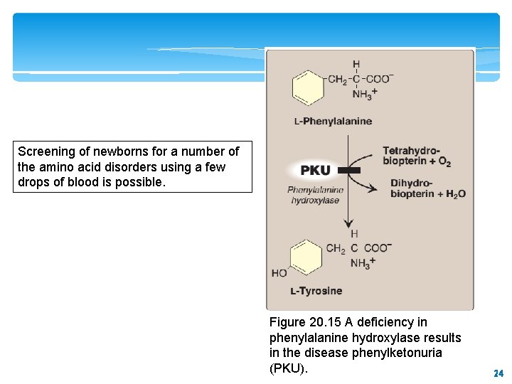 Screening of newborns for a number of the amino acid disorders using a few