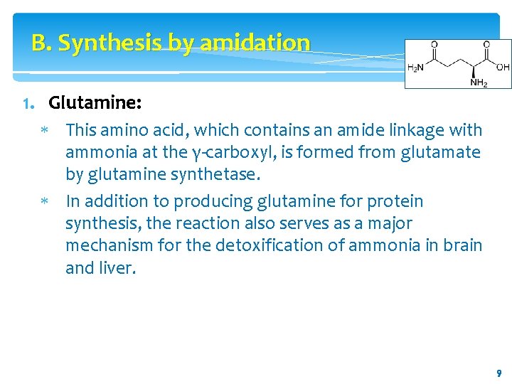 B. Synthesis by amidation 1. Glutamine: This amino acid, which contains an amide linkage B. Synthesis by amidation 1. Glutamine: This amino acid, which contains an amide linkage