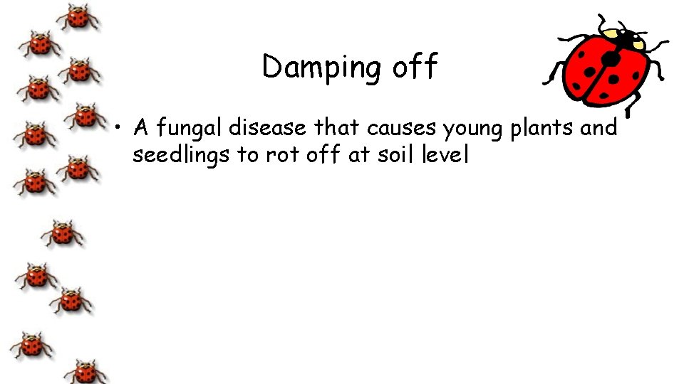 Damping off • A fungal disease that causes young plants and seedlings to rot