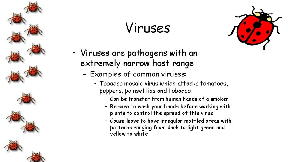 Viruses • Viruses are pathogens with an extremely narrow host range – Examples of