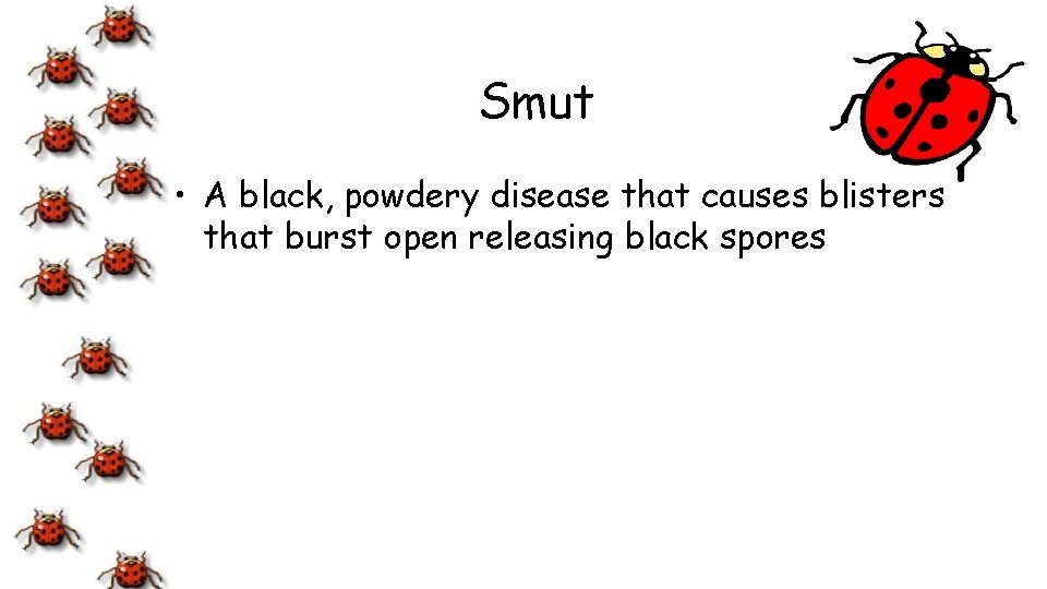 Smut • A black, powdery disease that causes blisters that burst open releasing black
