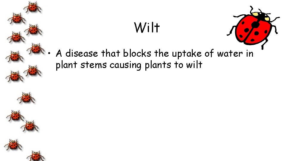 Wilt • A disease that blocks the uptake of water in plant stems causing