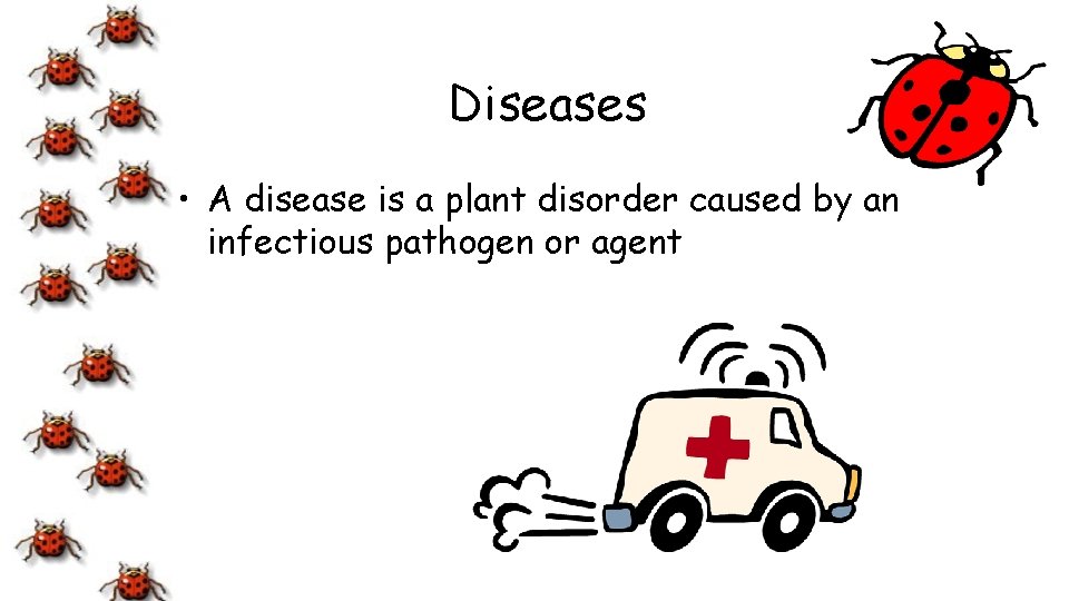 Diseases • A disease is a plant disorder caused by an infectious pathogen or
