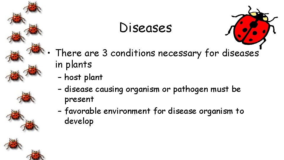 Diseases • There are 3 conditions necessary for diseases in plants – host plant