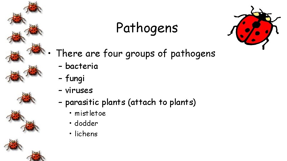 Pathogens • There are four groups of pathogens – – bacteria fungi viruses parasitic