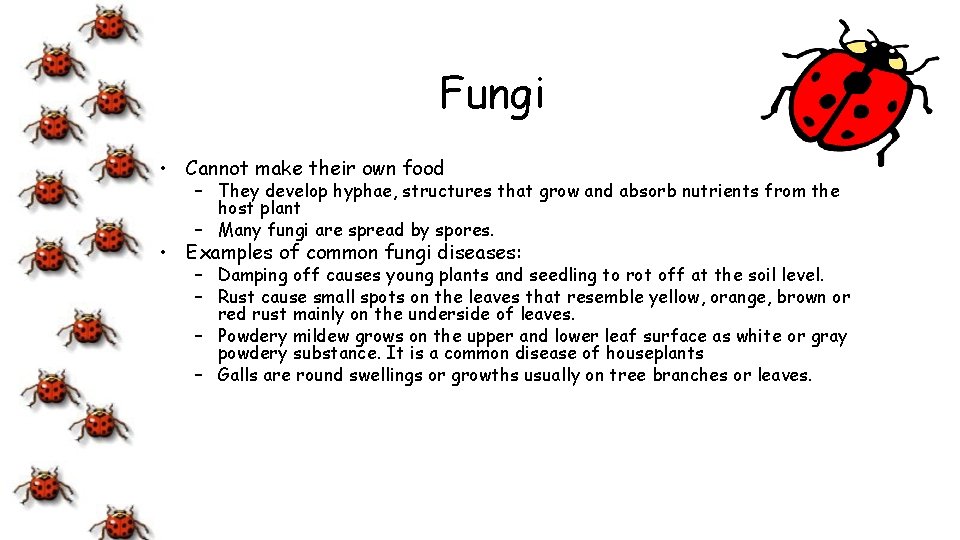 Fungi • Cannot make their own food – They develop hyphae, structures that grow
