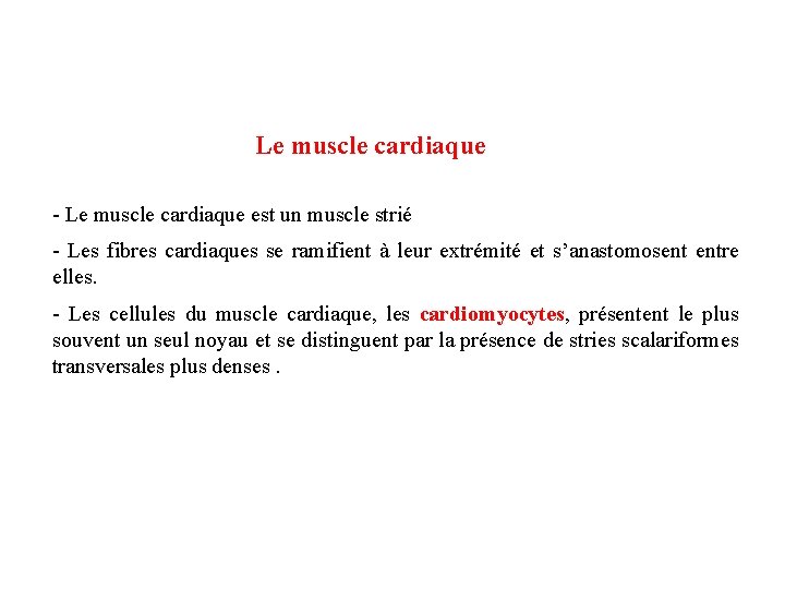Le muscle cardiaque - Le muscle cardiaque est un muscle strié - Les fibres