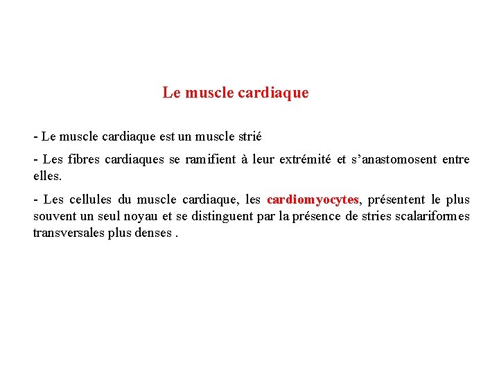 Le muscle cardiaque - Le muscle cardiaque est un muscle strié - Les fibres Le muscle cardiaque - Le muscle cardiaque est un muscle strié - Les fibres