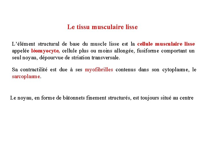 Le tissu musculaire lisse L’élément structural de base du muscle lisse est la cellule