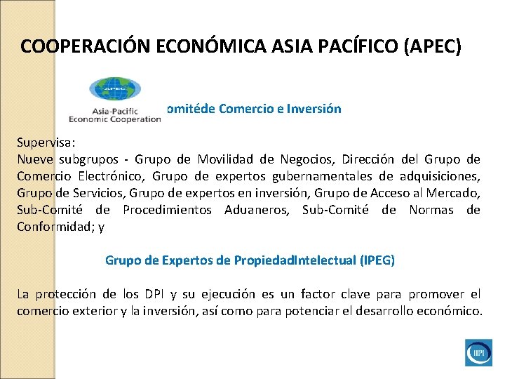 COOPERACIÓN ECONÓMICA ASIA PACÍFICO (APEC) Comitéde Comercio e Inversión Supervisa: Nueve subgrupos - Grupo COOPERACIÓN ECONÓMICA ASIA PACÍFICO (APEC) Comitéde Comercio e Inversión Supervisa: Nueve subgrupos - Grupo