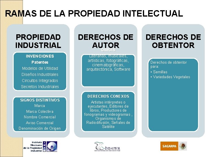 RAMAS DE LA PROPIEDAD INTELECTUAL PROPIEDAD INDUSTRIAL INVENCIONES Patentes Modelos de Utilidad Diseños Industriales RAMAS DE LA PROPIEDAD INTELECTUAL PROPIEDAD INDUSTRIAL INVENCIONES Patentes Modelos de Utilidad Diseños Industriales