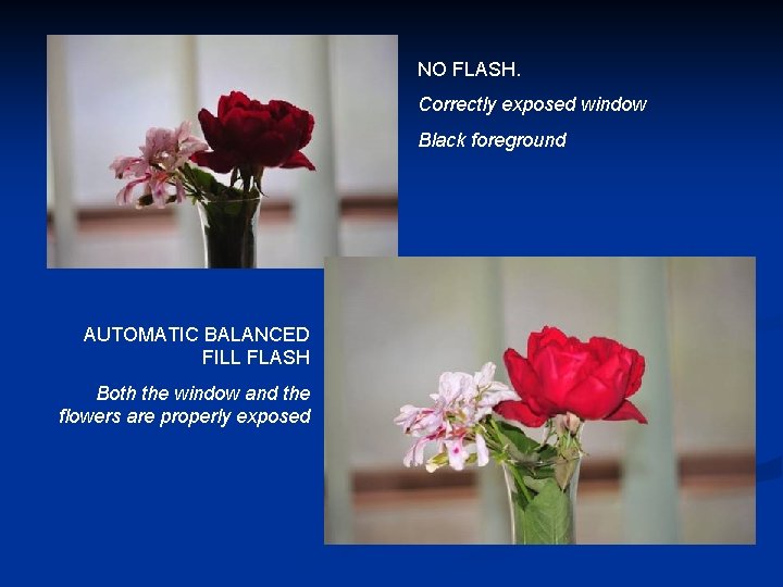 NO FLASH. Correctly exposed window Black foreground AUTOMATIC BALANCED FILL FLASH Both the window
