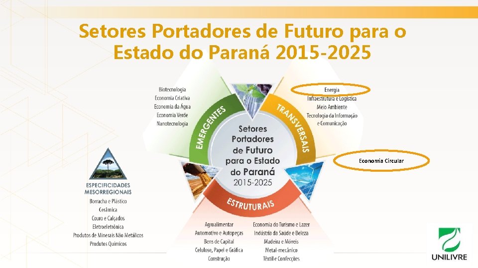 Setores Portadores de Futuro para o Estado do Paraná 2015 -2025 Economia Circular 