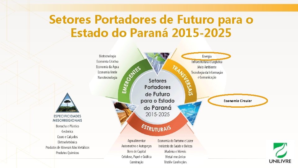 Setores Portadores de Futuro para o Estado do Paraná 2015 -2025 Economia Circular Setores Portadores de Futuro para o Estado do Paraná 2015 -2025 Economia Circular
