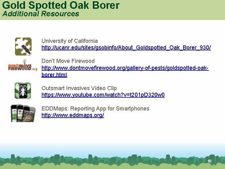 Gold Spotted Oak Borer Additional Resources University of California http: //ucanr. edu/sites/gsobinfo/About_Goldspotted_Oak_Borer_930/ Don’t Move