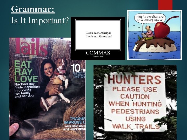 Grammar: Is It Important? Grammar: Is It Important?