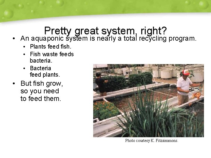 Pretty great system, right? • An aquaponic system is nearly a total recycling program.