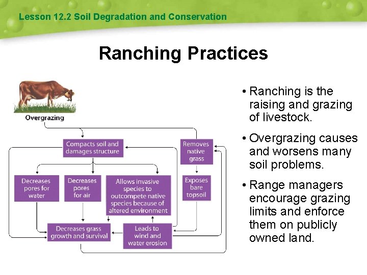 Lesson 12. 2 Soil Degradation and Conservation Ranching Practices • Ranching is the raising
