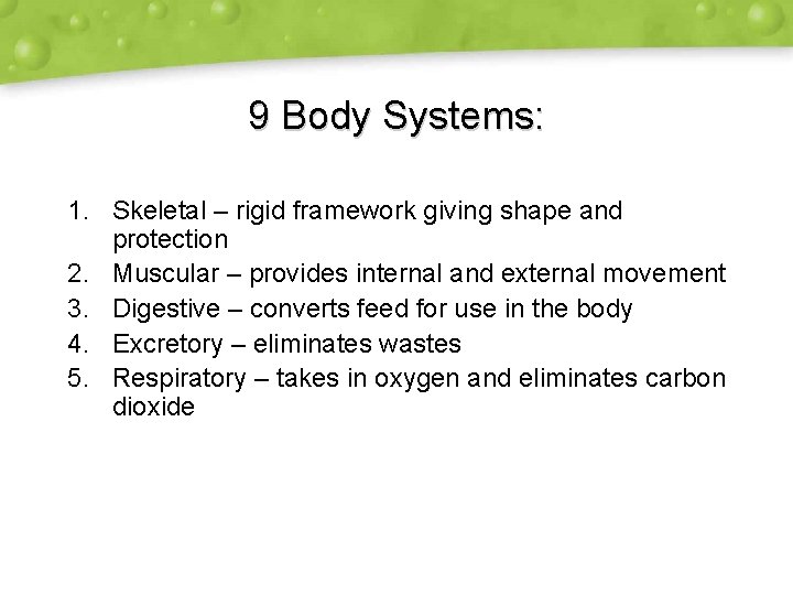 9 Body Systems: 1. Skeletal – rigid framework giving shape and protection 2. Muscular