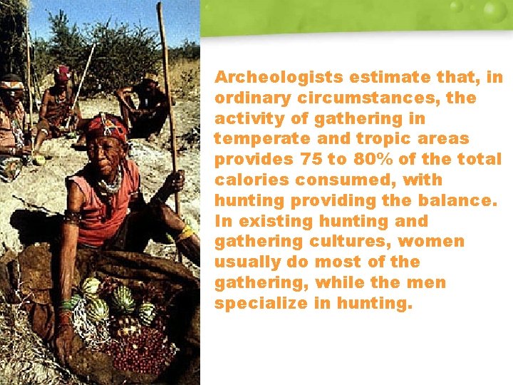 Archeologists estimate that, in ordinary circumstances, the activity of gathering in temperate and tropic