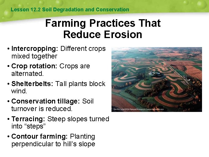 Lesson 12. 2 Soil Degradation and Conservation Farming Practices That Reduce Erosion • Intercropping: