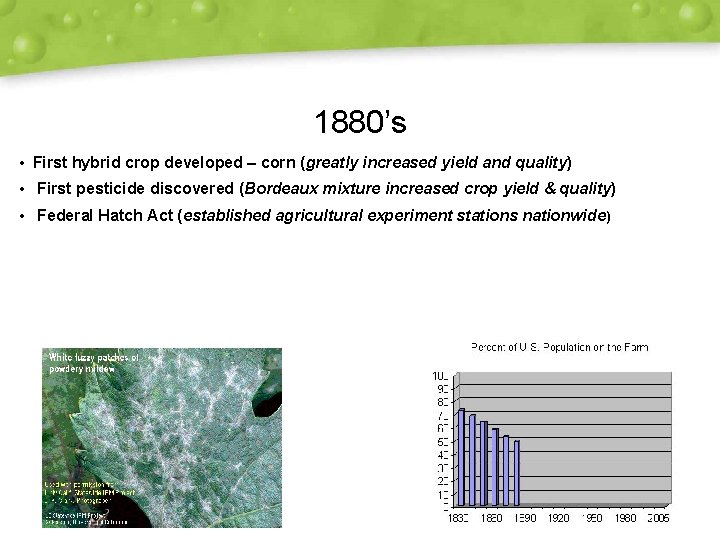 1880’s • First hybrid crop developed – corn (greatly increased yield and quality) •