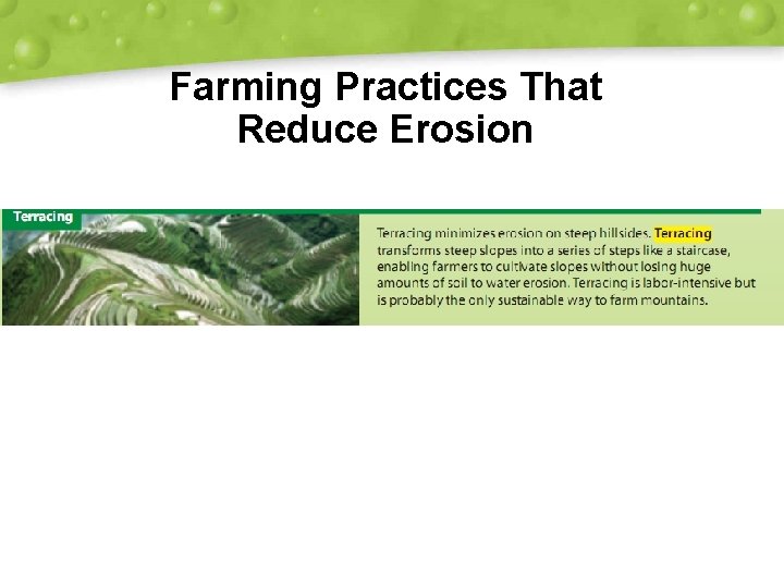 Farming Practices That Reduce Erosion 