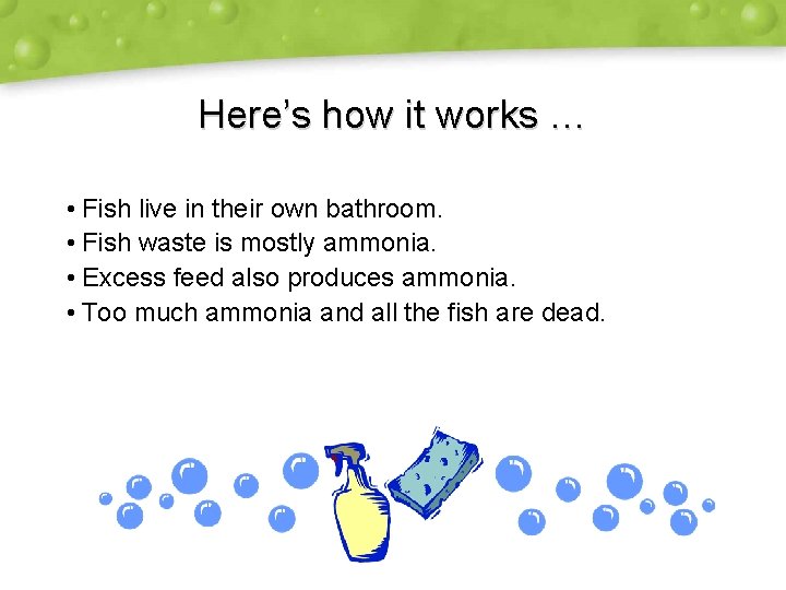 Here’s how it works … • Fish live in their own bathroom. • Fish