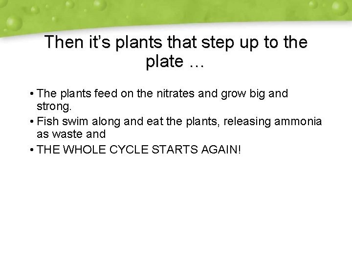 Then it’s plants that step up to the plate … • The plants feed