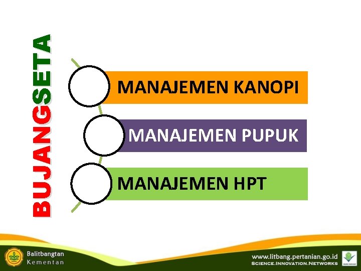 BUJANGSETA MANAJEMEN KANOPI MANAJEMEN PUPUK MANAJEMEN HPT BUJANGSETA MANAJEMEN KANOPI MANAJEMEN PUPUK MANAJEMEN HPT