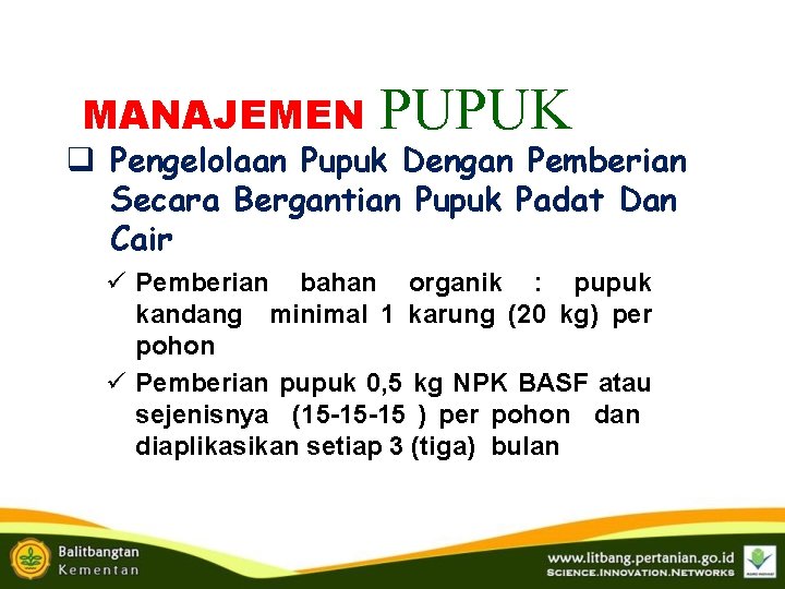 MANAJEMEN PUPUK q Pengelolaan Pupuk Dengan Pemberian Secara Bergantian Pupuk Padat Dan Cair ü MANAJEMEN PUPUK q Pengelolaan Pupuk Dengan Pemberian Secara Bergantian Pupuk Padat Dan Cair ü
