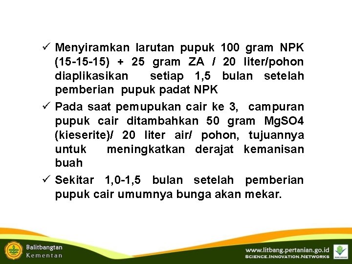 ü Menyiramkan larutan pupuk 100 gram NPK (15 -15 -15) + 25 gram ZA ü Menyiramkan larutan pupuk 100 gram NPK (15 -15 -15) + 25 gram ZA
