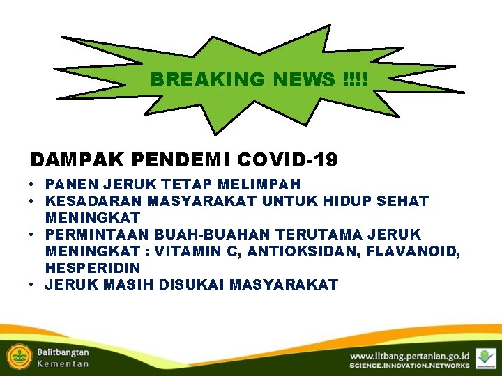 BREAKING NEWS !!!! DAMPAK PENDEMI COVID-19 • PANEN JERUK TETAP MELIMPAH • KESADARAN MASYARAKAT BREAKING NEWS !!!! DAMPAK PENDEMI COVID-19 • PANEN JERUK TETAP MELIMPAH • KESADARAN MASYARAKAT