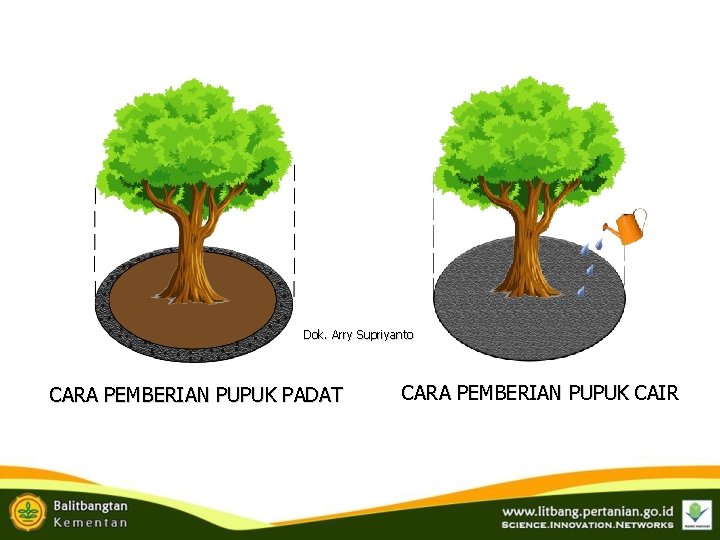 Dok. Arry Supriyanto CARA PEMBERIAN PUPUK PADAT CARA PEMBERIAN PUPUK CAIR Dok. Arry Supriyanto CARA PEMBERIAN PUPUK PADAT CARA PEMBERIAN PUPUK CAIR