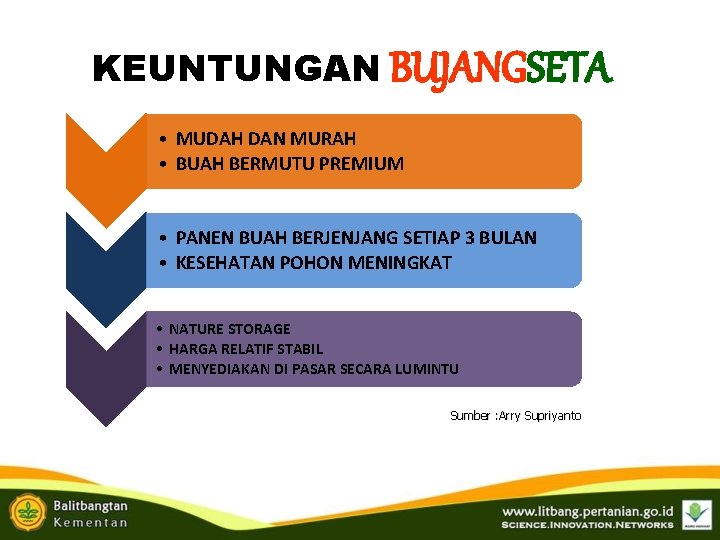KEUNTUNGAN BUJANGSETA • MUDAH DAN MURAH • BUAH BERMUTU PREMIUM • PANEN BUAH BERJENJANG KEUNTUNGAN BUJANGSETA • MUDAH DAN MURAH • BUAH BERMUTU PREMIUM • PANEN BUAH BERJENJANG