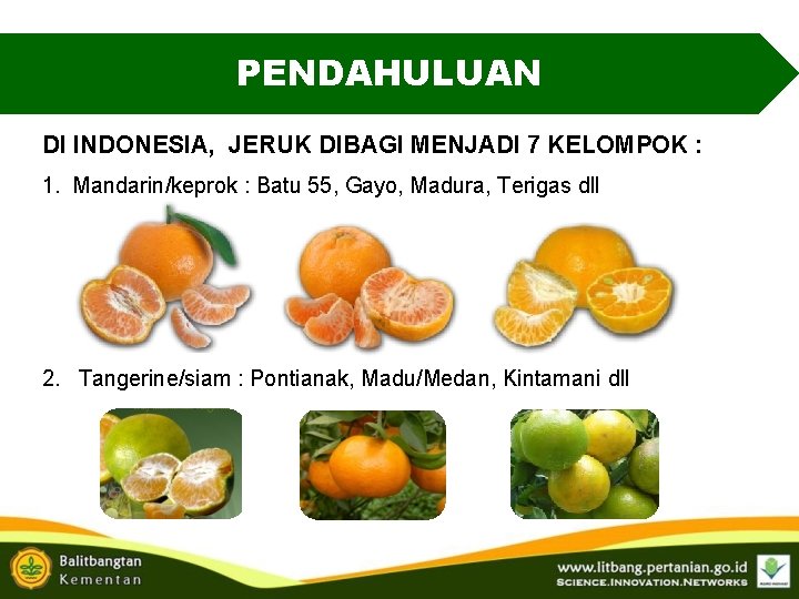 PENDAHULUAN DI INDONESIA, JERUK DIBAGI MENJADI 7 KELOMPOK : 1. Mandarin/keprok : Batu 55, PENDAHULUAN DI INDONESIA, JERUK DIBAGI MENJADI 7 KELOMPOK : 1. Mandarin/keprok : Batu 55,