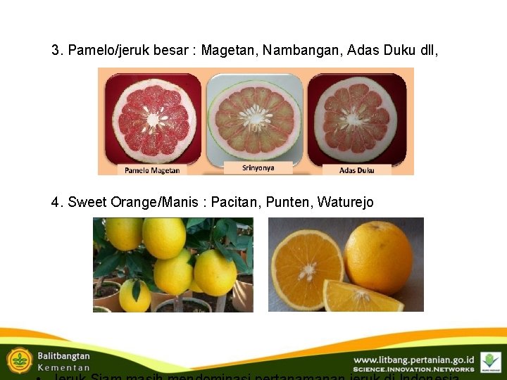 3. Pamelo/jeruk besar : Magetan, Nambangan, Adas Duku dll, 4. Sweet Orange/Manis : Pacitan, 3. Pamelo/jeruk besar : Magetan, Nambangan, Adas Duku dll, 4. Sweet Orange/Manis : Pacitan,