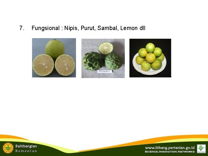 7. Fungsional : Nipis, Purut, Sambal, Lemon dll 7. Fungsional : Nipis, Purut, Sambal, Lemon dll