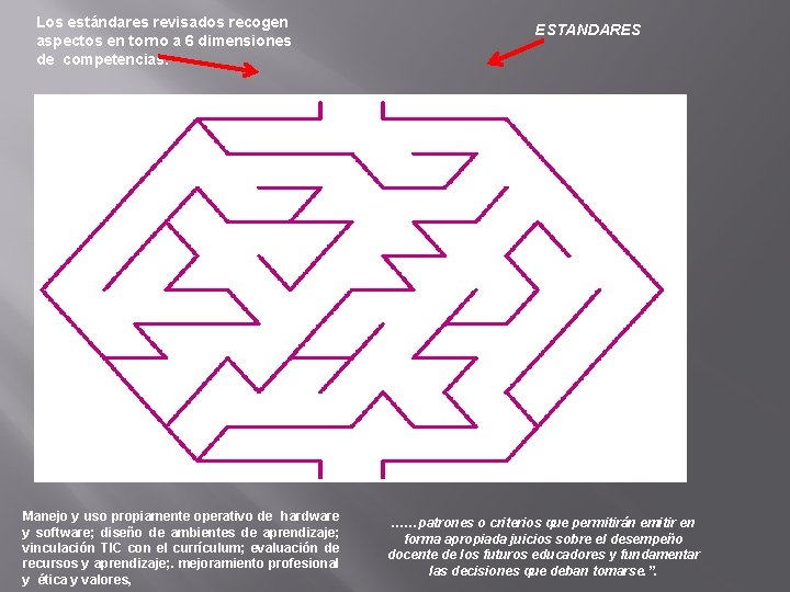 Los estándares revisados recogen aspectos en torno a 6 dimensiones de competencias: Manejo y