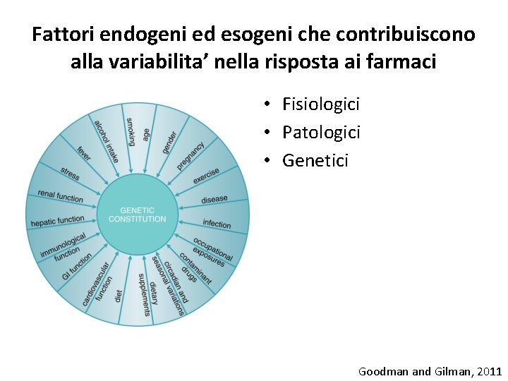 Fattori endogeni ed esogeni che contribuiscono alla variabilita’ nella risposta ai farmaci • Fisiologici