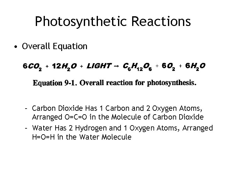 Photosynthetic Reactions • Overall Equation – Carbon Dioxide Has 1 Carbon and 2 Oxygen