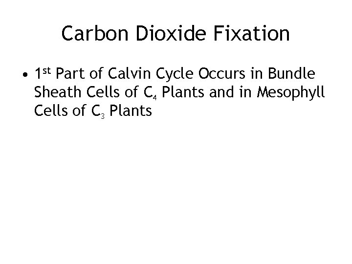 Carbon Dioxide Fixation • 1 st Part of Calvin Cycle Occurs in Bundle Sheath