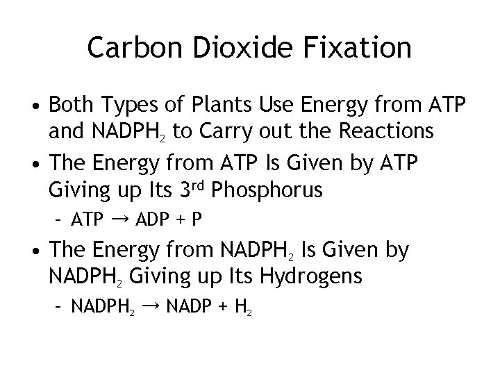 Carbon Dioxide Fixation • Both Types of Plants Use Energy from ATP and NADPH