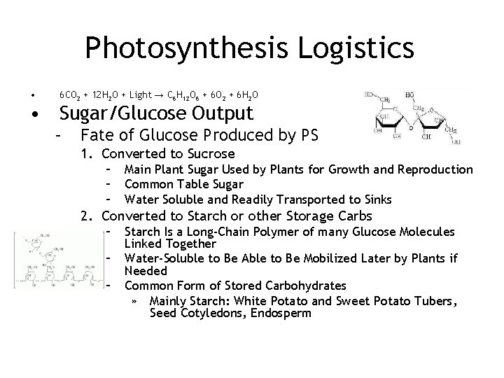 Photosynthesis Logistics • 6 CO 2 + 12 H 2 O + Light →