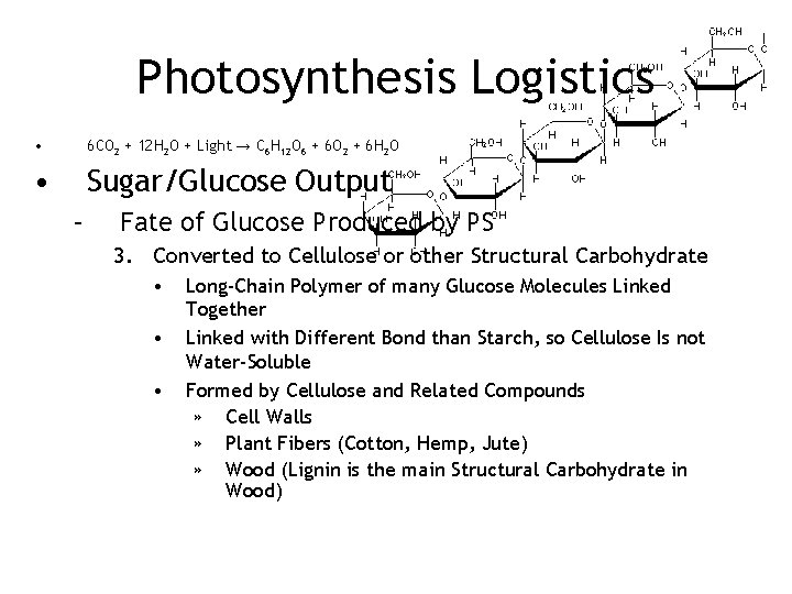 Photosynthesis Logistics • 6 CO 2 + 12 H 2 O + Light →