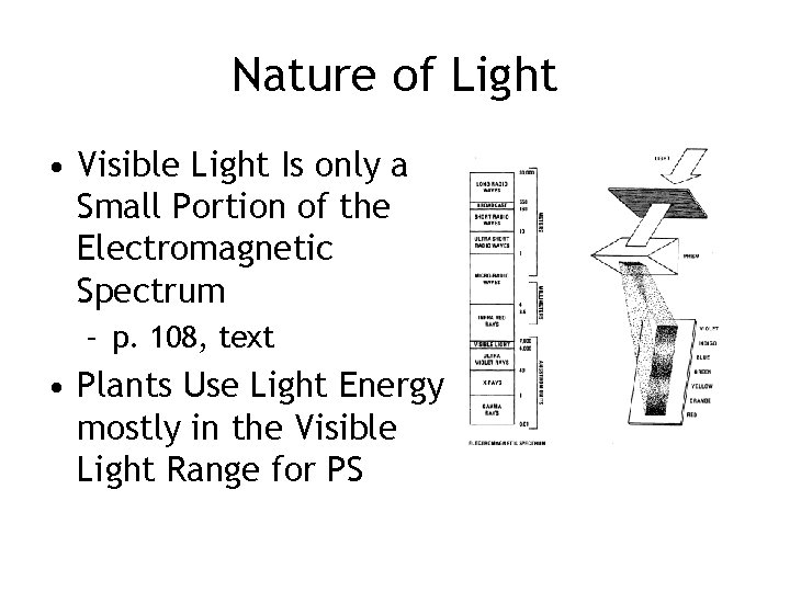 Nature of Light • Visible Light Is only a Small Portion of the Electromagnetic