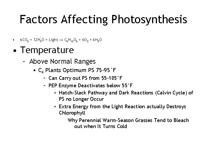 Factors Affecting Photosynthesis • 6 CO 2 + 12 H 2 O + Light