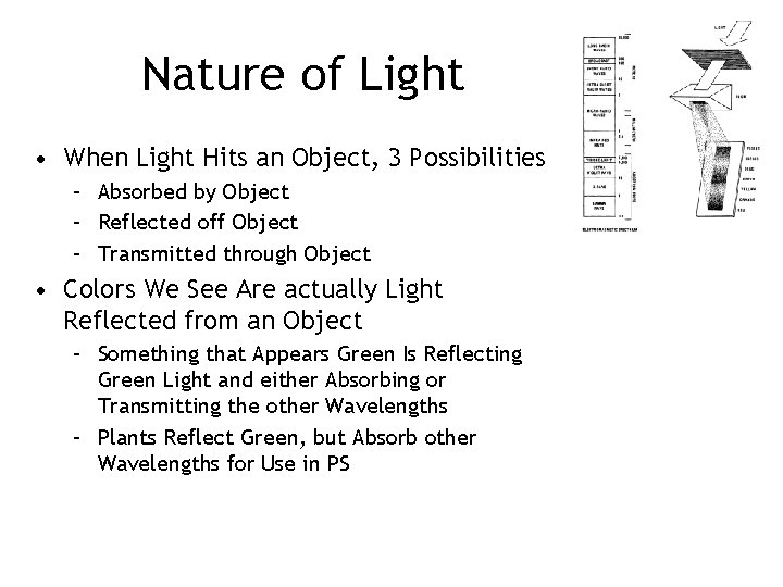 Nature of Light • When Light Hits an Object, 3 Possibilities – Absorbed by