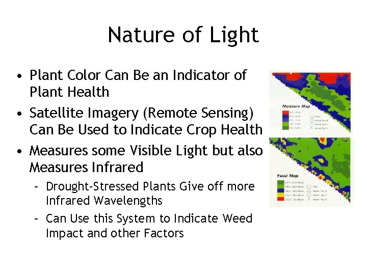Nature of Light • Plant Color Can Be an Indicator of Plant Health •