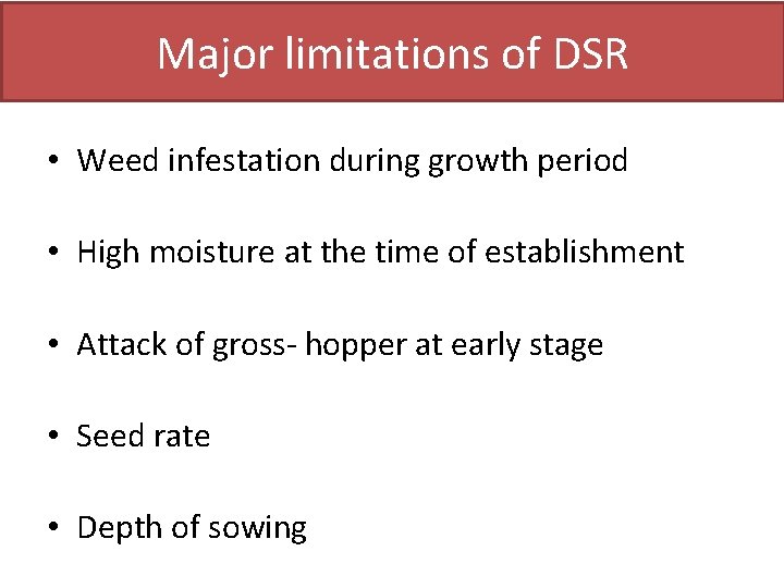 Major limitations of DSR • Weed infestation during growth period • High moisture at